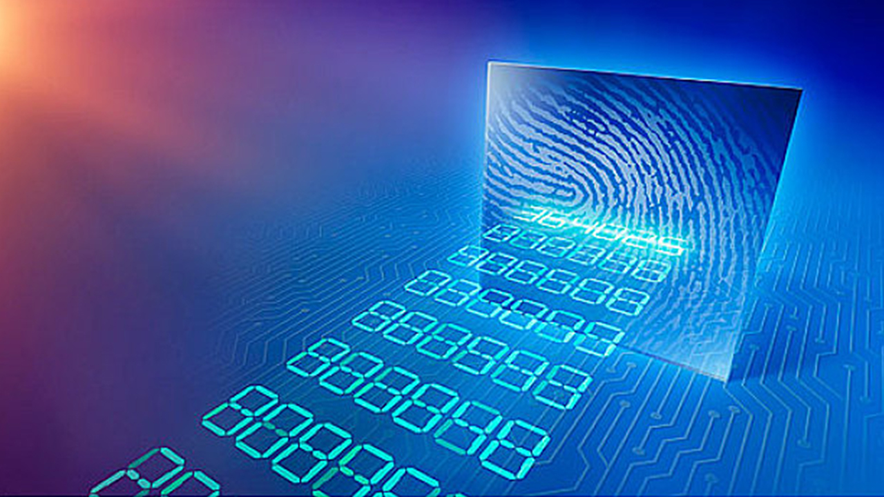 Light-Touch PCBA Support (On-Demand)